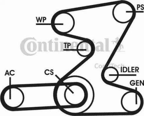 Continental 6PK2080D2 - Пистов ремък vvparts.bg