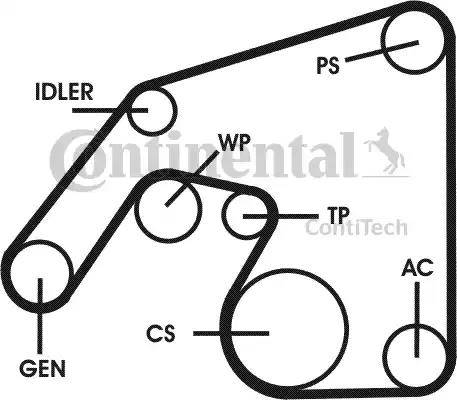 Continental 6PK2260D1 - Комплект пистов ремък vvparts.bg