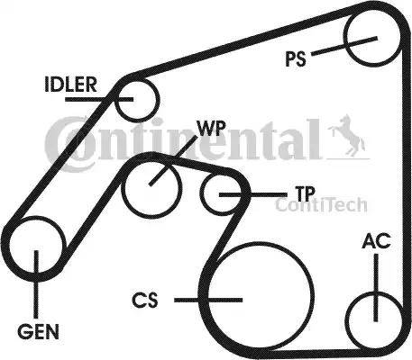 Continental 6PK2260D3 - Комплект пистов ремък vvparts.bg