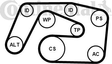 CONTITECH 6PK2271K1 - Комплект пистов ремък vvparts.bg