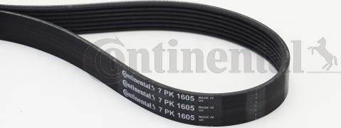 CONTITECH 7 PK 1605 - Пистов ремък vvparts.bg