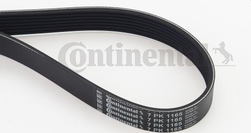 CONTITECH 7 PK 1165 - Пистов ремък vvparts.bg