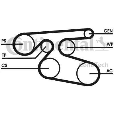 Continental 7PK2000 - Пистов ремък vvparts.bg