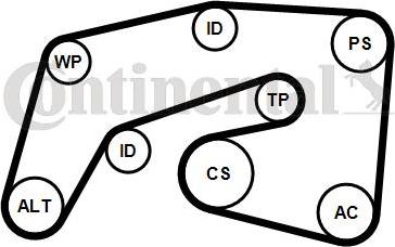 CONTITECH 7PK2035WP1 - Водна помпа + комплект пистови ремъци клиновидно оребряване vvparts.bg