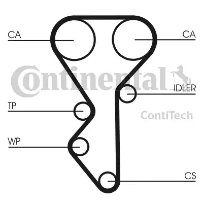 Continental CT955 - Ангренажен ремък vvparts.bg