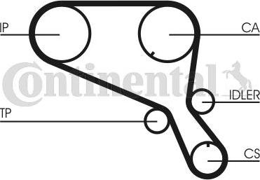 CONTITECH CT953 - Ангренажен ремък vvparts.bg