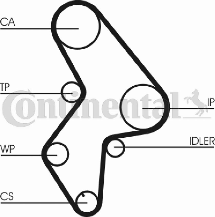 CONTITECH CT523 - Ангренажен ремък vvparts.bg