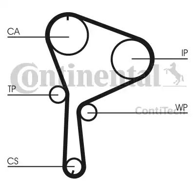 Continental CT1064K1 - Комплект ангренажен ремък vvparts.bg