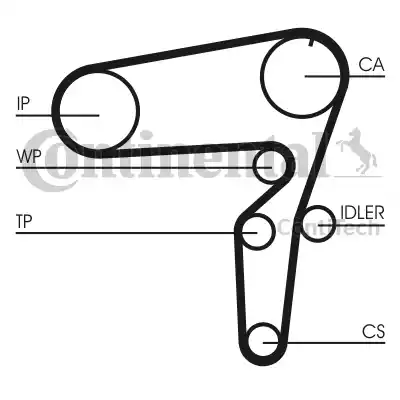 Continental CT 1076 - Ангренажен ремък vvparts.bg