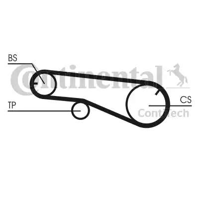 Continental CT1141 - Ангренажен ремък vvparts.bg