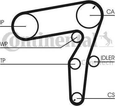 Continental CT1106WP1 - Водна помпа+ к-кт ангренажен ремък vvparts.bg