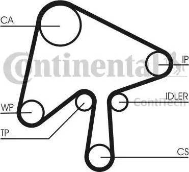 Continental CT1136 - Ангренажен ремък vvparts.bg