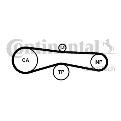 Continental CT1131 - Ангренажен ремък vvparts.bg