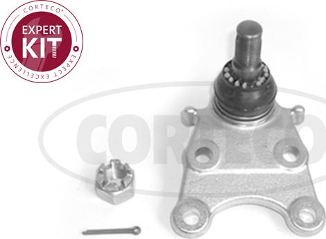 Corteco 49400581 - Шарнири vvparts.bg