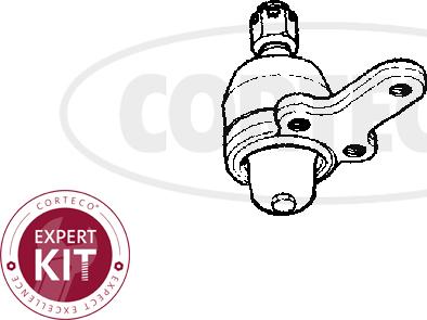 Corteco 49395843 - Шарнири vvparts.bg