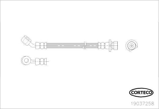 Corteco 19037258 - Спирачен маркуч vvparts.bg