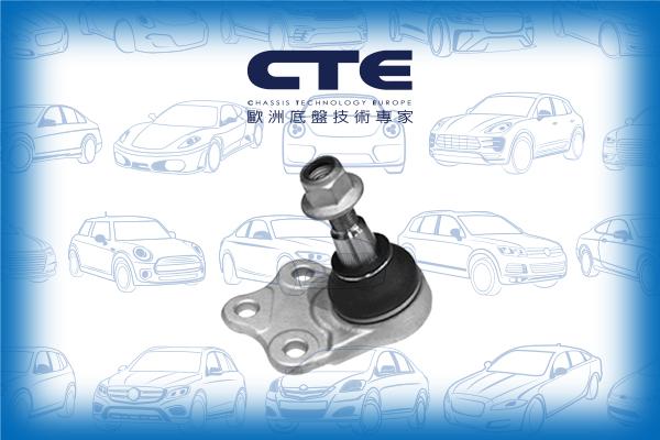 CTE CBJ31006 - Шарнири vvparts.bg