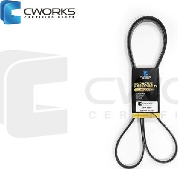 Cworks G3111T71920 - Пистов ремък vvparts.bg