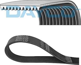 Dayco 11PK2040HD - Пистов ремък vvparts.bg