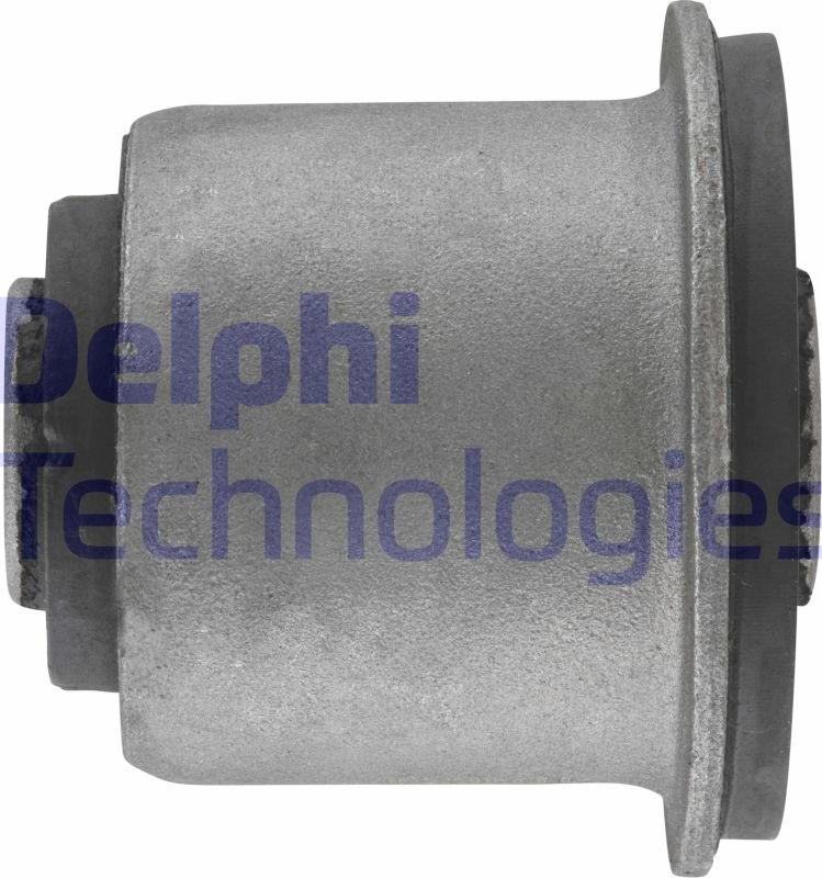 Delphi TD463W-11B1 - Тампон, носач vvparts.bg