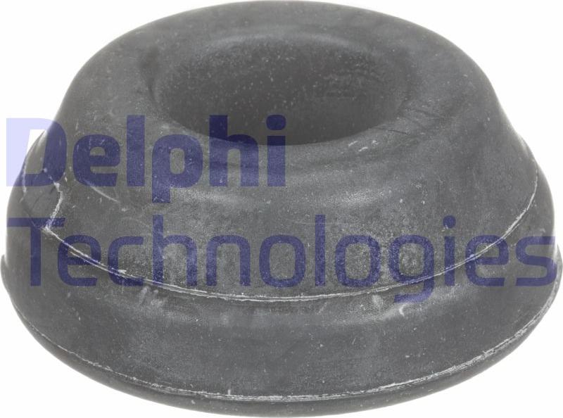 Delphi TD4326W-11B1 - Тампон, носач vvparts.bg