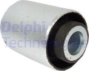 Delphi TD668W-11B1 - Тампон, носач vvparts.bg