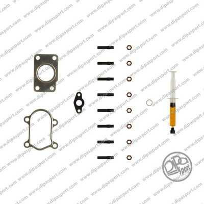 Dipasport TRBKIT007N - Монтажен комплект, турбина vvparts.bg