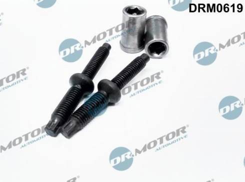 Dr.Motor DRM0619 - Комплект гарнитури, впръскваща дюза vvparts.bg