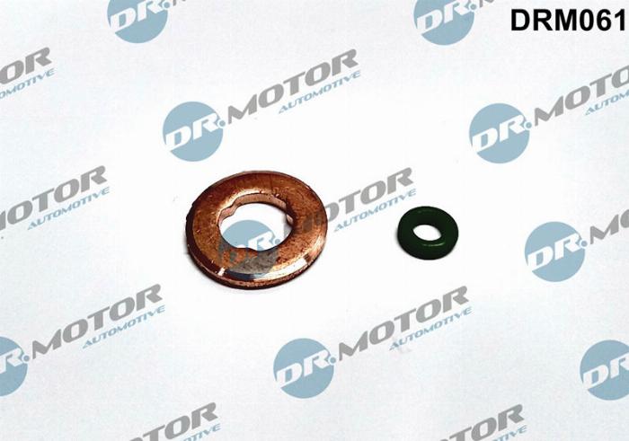 Dr.Motor DRM061 - Комплект гарнитури, впръскваща дюза vvparts.bg