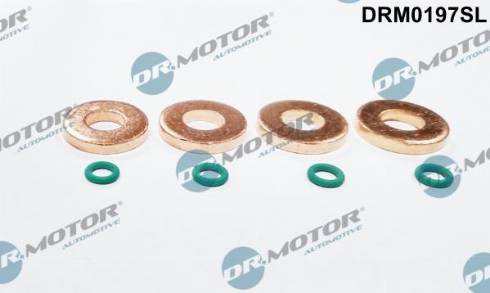 Dr.Motor DRM0197SL - Комплект гарнитури, впръскваща дюза vvparts.bg