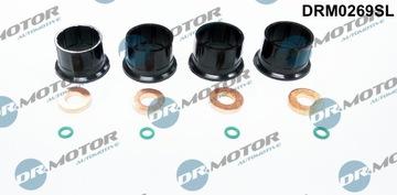 Dr.Motor DRM0269SL - Комплект гарнитури, впръскваща дюза vvparts.bg