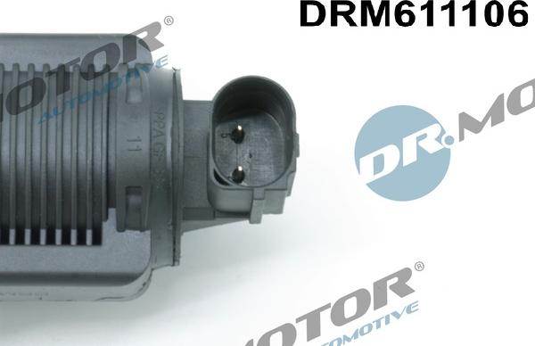 Dr.Motor Automotive DRM611106 - AGR-Клапан vvparts.bg