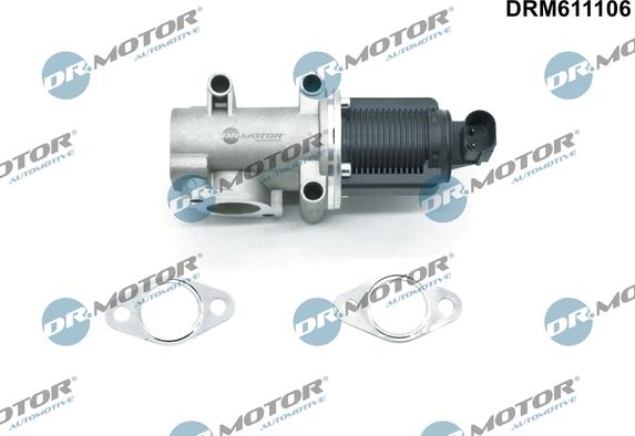 Dr.Motor Automotive DRM611106 - AGR-Клапан vvparts.bg