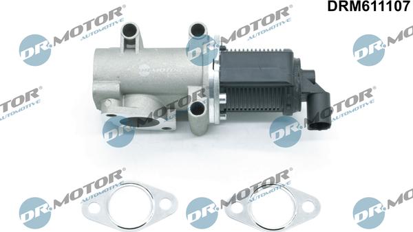 Dr.Motor Automotive DRM611107 - AGR-Клапан vvparts.bg