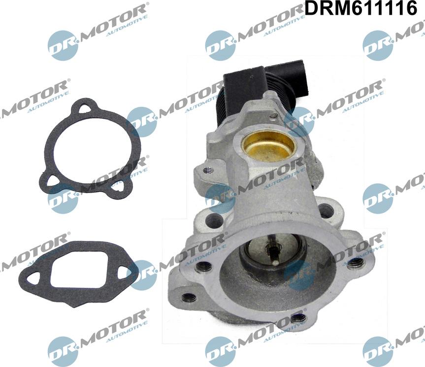 Dr.Motor Automotive DRM611116 - AGR-Клапан vvparts.bg