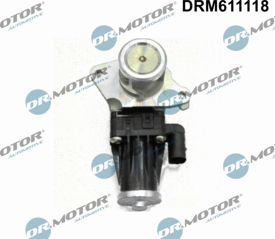 Dr.Motor Automotive DRM611118 - AGR-Клапан vvparts.bg