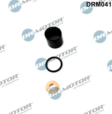 Dr.Motor Automotive DRM041 - Комплект гарнитури, впръскваща дюза vvparts.bg