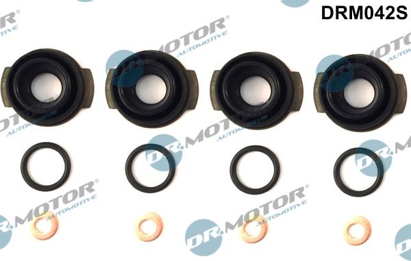 Dr.Motor Automotive DRM042S - Комплект гарнитури, впръскваща дюза vvparts.bg