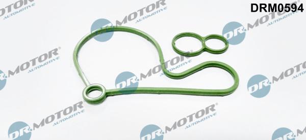 Dr.Motor Automotive DRM0594 - Уплътнение, вакуумпомпа vvparts.bg