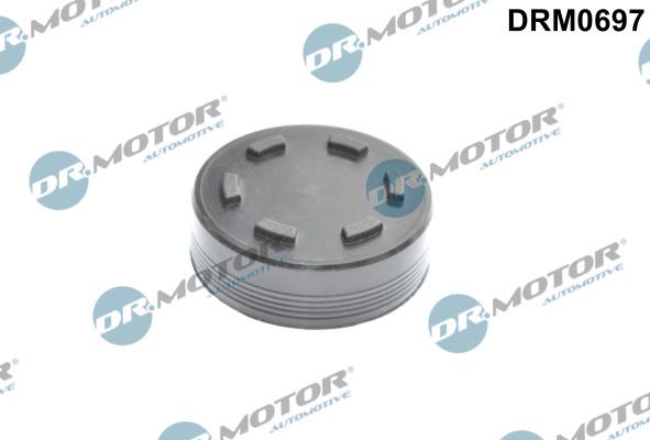 Dr.Motor Automotive DRM0697 - Затварящ капак, разпределителен вал vvparts.bg