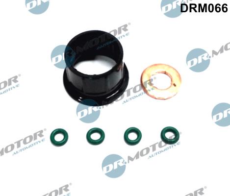Dr.Motor Automotive DRM066 - Комплект гарнитури, впръскваща дюза vvparts.bg