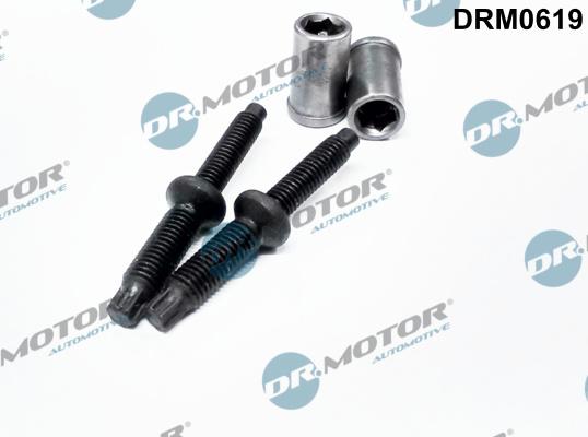 Dr.Motor Automotive DRM0619 - Болт, дюьодържач vvparts.bg