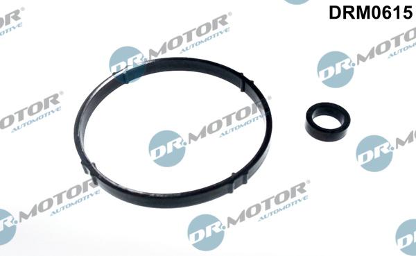 Dr.Motor Automotive DRM0615 - Комплект гарнитури, маслен радиатор vvparts.bg