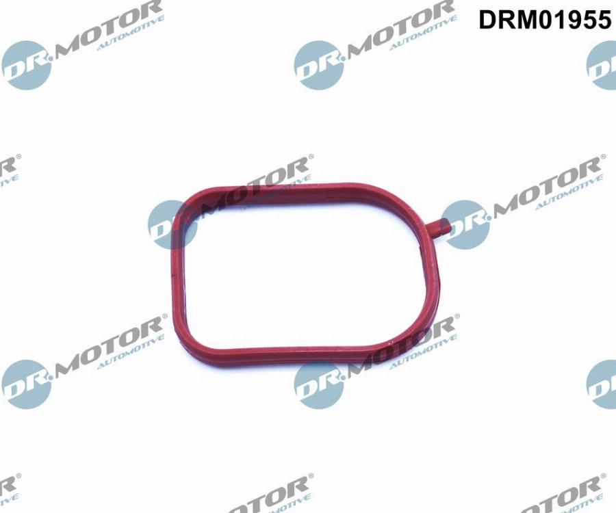 Dr.Motor Automotive DRM01955 - Уплътнение, корпус на термостата vvparts.bg