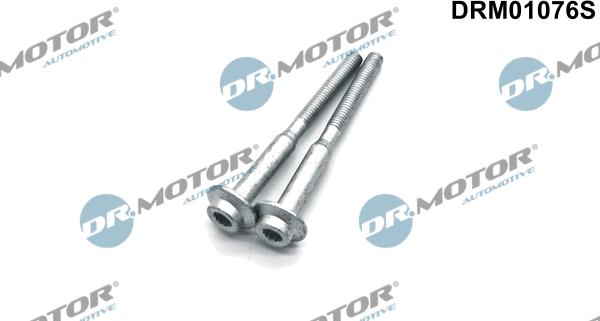 Dr.Motor Automotive DRM01076S - Болт, дюьодържач vvparts.bg