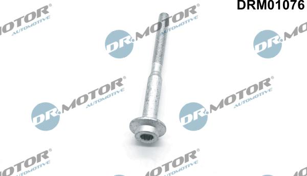 Dr.Motor Automotive DRM01076 - Болт, дюьодържач vvparts.bg