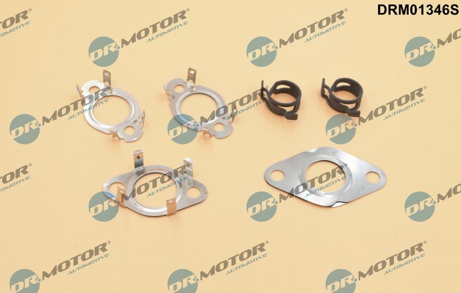 Dr.Motor Automotive DRM01346S - К-кт уплътнения, EGR-система vvparts.bg