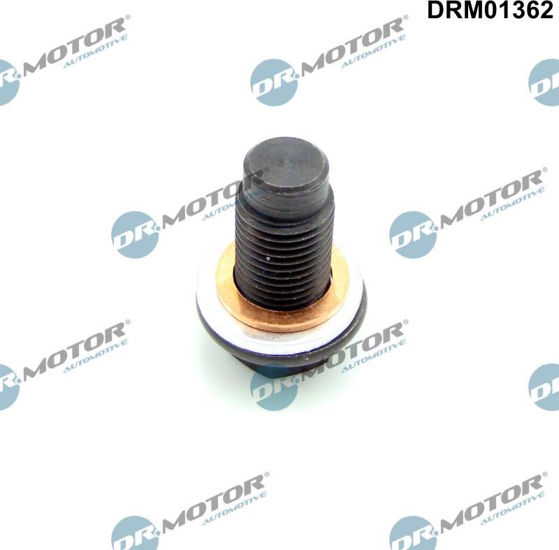 Dr.Motor Automotive DRM01362 - Болтова пробка, маслен картер vvparts.bg