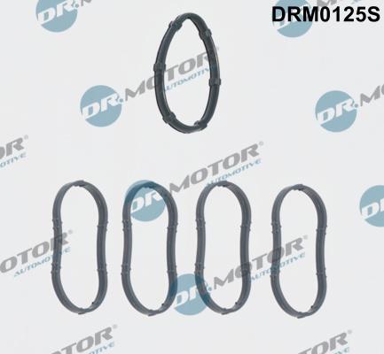 Dr.Motor Automotive DRM0125S - Комплект гарнитури, всмукателен колектор vvparts.bg