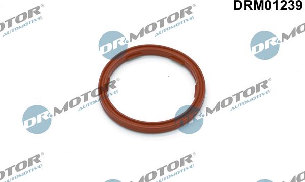 Dr.Motor Automotive DRM01239 - Уплътнител, датчик за ниво на маслото vvparts.bg
